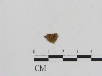 登錄號:F0004737藏品圖，第3張