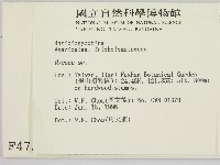小菇屬藏品圖，第2張