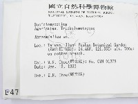 微皮傘屬藏品圖，第2張