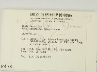 登錄號:F0004741藏品圖，第2張