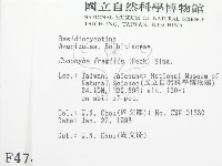 登錄號:F0004742藏品圖，第2張