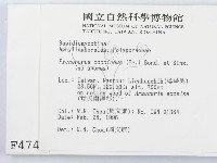 登錄號:F0004745藏品圖，第2張