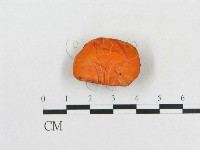 登錄號:F0004745藏品圖，第1張