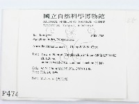 牛樟芝藏品圖，第2張