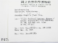 登錄號:F0004749藏品圖，第2張