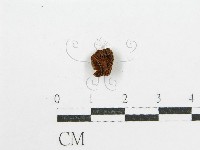 登錄號:F0004749藏品圖，第1張