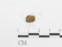 登錄號:F0004749藏品圖，第3張