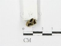 登錄號:F0004754藏品圖，第3張