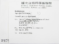 登錄號:F0004755藏品圖，第2張