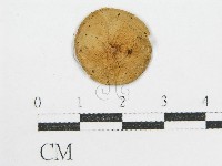 登錄號:F0004755藏品圖，第3張