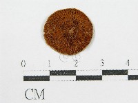 登錄號:F0004755藏品圖，第4張