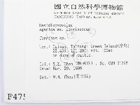 鬼傘屬藏品圖，第2張