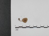 登錄號:F0004757藏品圖，第1張