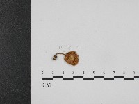 登錄號:F0004757藏品圖，第3張