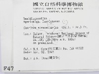 登錄號:F0004758藏品圖，第2張