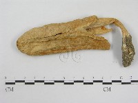 登錄號:F0004759藏品圖，第3張