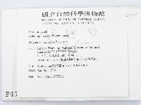 登錄號:F0004760藏品圖，第2張