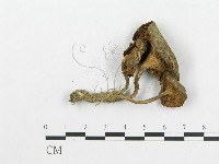 登錄號:F0004760藏品圖，第3張