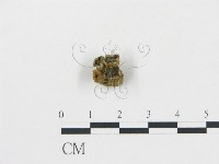 登錄號:F0004762藏品圖，第1張
