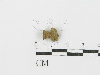 登錄號:F0004762藏品圖，第3張