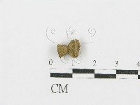 登錄號:F0004762藏品圖，第4張