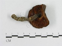 登錄號:F0004764藏品圖，第1張