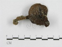 登錄號:F0004764藏品圖，第3張