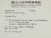 登錄號:F0004765藏品圖，第2張