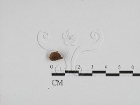 登錄號:F0004765藏品圖，第3張
