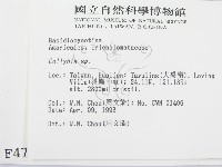 登錄號:F0004766藏品圖，第2張
