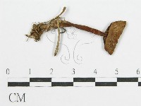 登錄號:F0004766藏品圖，第1張