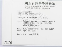 登錄號:F0004767藏品圖，第2張