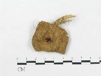 登錄號:F0004768藏品圖，第3張