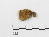 登錄號:F0004769藏品圖，第3張