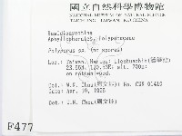 多孔菌屬藏品圖，第2張