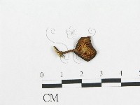 登錄號:F0004771藏品圖，第1張