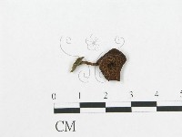 登錄號:F0004771藏品圖，第3張