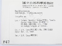 登錄號:F0004772藏品圖，第2張