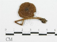 登錄號:F0004772藏品圖，第3張