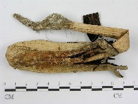 登錄號:F0004774藏品圖，第3張