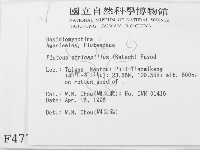 登錄號:F0004775藏品圖，第2張