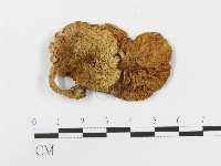 登錄號:F0004775藏品圖，第3張