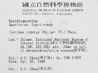 登錄號:F0004776藏品圖，第2張