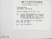 登錄號:F0004776藏品圖，第3張