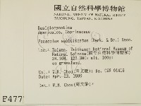 登錄號:F0004777藏品圖，第2張