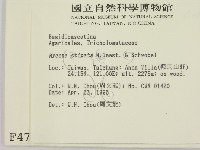 登錄號:F0004778藏品圖，第2張
