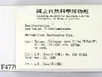 登錄號:F0004779藏品圖，第2張