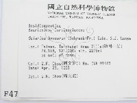 登錄號:F0004781藏品圖，第2張