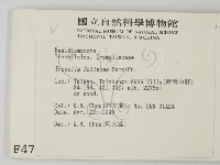 登錄號:F0004782藏品圖，第2張