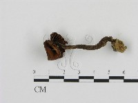 登錄號:F0004783藏品圖，第1張